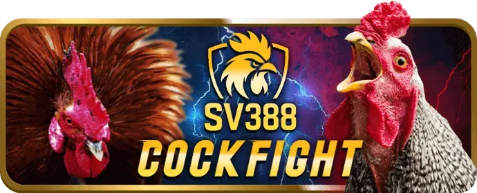 Ưu đãi hoàn trả thể thao G88